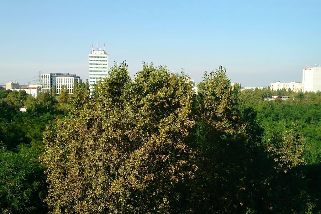 קטוביץ 1 Bedroom Francuska Park Apartment מראה חיצוני תמונה