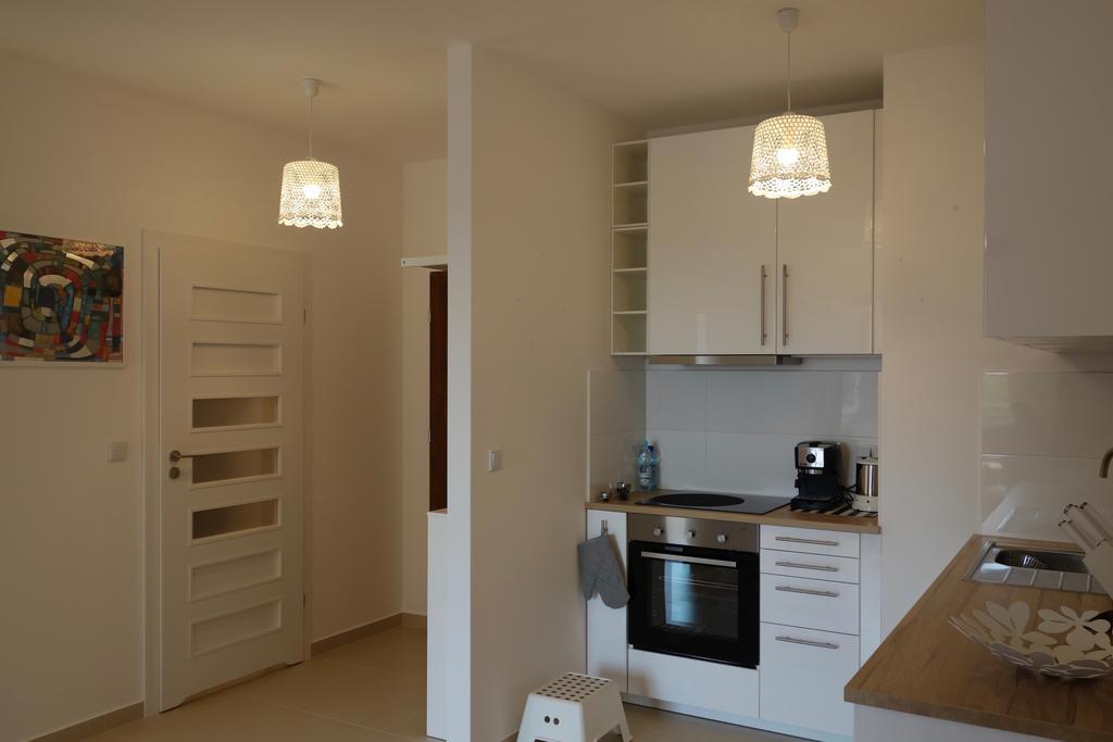 קטוביץ 1 Bedroom Francuska Park Apartment מראה חיצוני תמונה